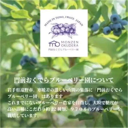 濃縮ジャムタイプ「そのままブルーベリー」100g×3本　門前おくでらブルーベリー園【1738483】