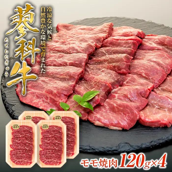 蓼科牛モモ焼肉120g×4　　　
