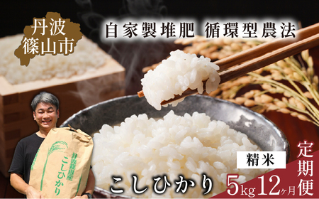 【令和7年産】米 定期便 丹波篠山産コシヒカリ〈 精米 5kg × 12回 〉計60kg 米 定期便 [SUBSC-DP10]
