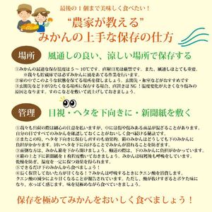 谷内青果 早生みかん 訳あり 10kg
