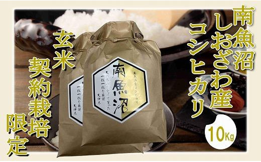 
            【令和7年産】【玄米１０Kg】●玄米● 生産者限定 南魚沼しおざわ産コシヒカリ【2025年10月上旬より順次発送予定】
          