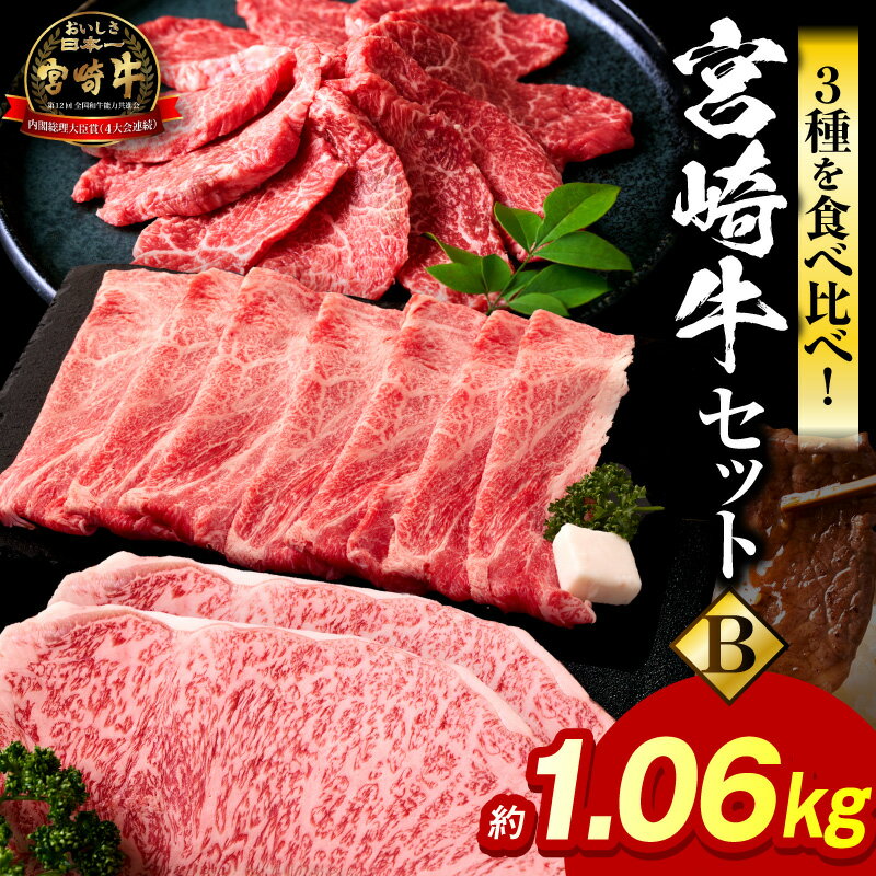 【ふるさと納税】宮崎牛のセットB