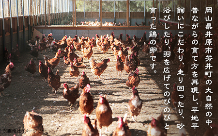 平飼い農家の庭先たまご 30個 × 12回【12ヶ月連続お届け】