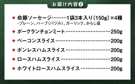『NUCHIBUTA 贅沢セット』 豚肉 ハンバーグ ソーセージ ハム 詰め合わせ お取り寄せ 国産 ギフト 冷凍 沖縄市 / DELICATESSEN NUCHIBUTA[BCAR008]