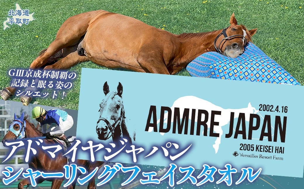 
                  【アドマイヤジャパン×Yogibo】シャーリングフェイスタオル 【ふるさと納税 人気 おすすめ ランキング 馬 競馬 競走馬 引退馬 アドマイヤジャパン 日高 北海道 平取町 びらとり 送料無料】 BRTV040
                