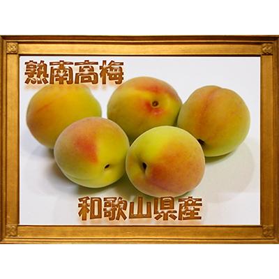ふるさと納税 印南町 2025/6月より発送【梅干し・梅酒用】紀州和歌山の熟南高生梅4Lor3L-2kg