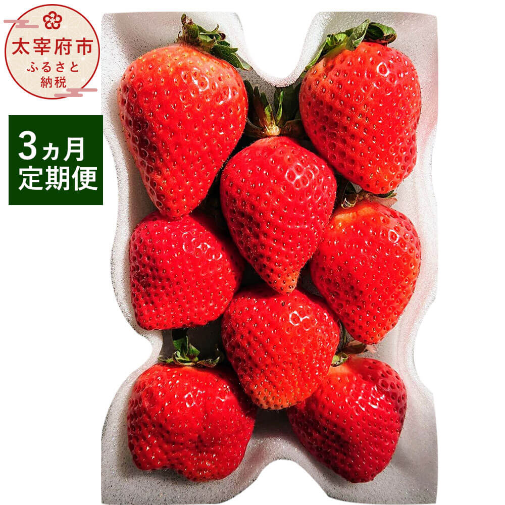 【ふるさと納税】＜予約＞【3回定期便】あまおう 3パック 合計約2250～2430g 約250～270g×3パック×3回 【2026年1月下旬～4月下旬発送予定】 あまおう いちご フルーツ 果物 旬 イチゴ 苺 福岡県産 規格はお任せ 九州産 国産 冷蔵配送 送料無料