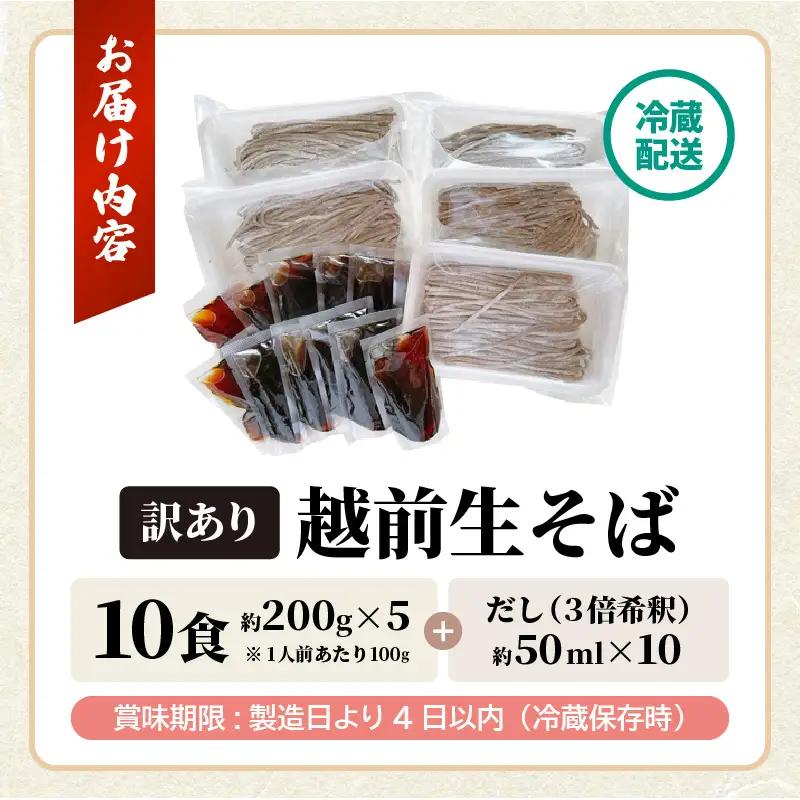 【年越し限定 】越前おろしそば 生そば10人前（つゆ付き）「めん房新月亭」 冷蔵 [e21-a005_12]