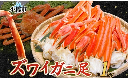 ズワイガニ 蟹脚 ボイル 約1kg 【otaru004】 カニ かに 蟹 カニ脚 蟹脚 カニ棒肉 海鮮 海の幸 ギフト お取り寄せ