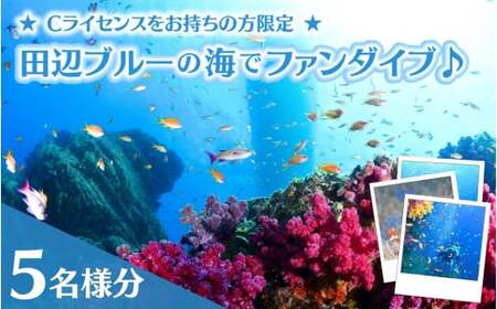 【和歌山 田辺・ファンダイブ／2ボート】大阪から2時間で叶う！田辺ブルーの海♪　5名様 ★Cライセンスお持ちの方限定★ / ダイビング スキューバダイビング ファンダイビング マリンスポーツ 体験 旅行 観光 レジャー アウトドア サンゴ 熱帯魚 水中 癒し【tds001-5】