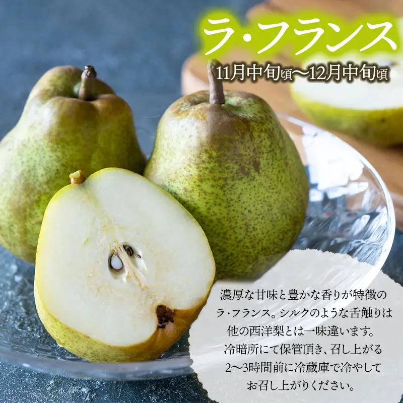 【令和8年産先行予約】鶴岡市産 ラ・フランス（洋梨） 約5kg（12～18玉）　K-835　泉屋商店