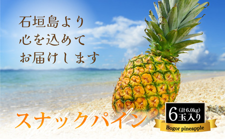 【先行予約】石垣島産 中玉スナックパイン（ボゴール）６玉 合計約６kg 《2025年夏季 順次発送》SI-112