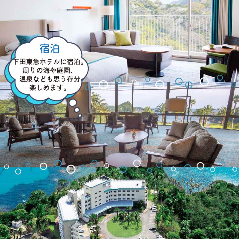 釣り 体験 宿泊券 お食事 伊豆沖 地魚 お刺身 2泊2名様 ペア チケット 下田東急ホテル ホテル 観光 旅行 トラベル 伊豆旅行 ご飯 海の幸 鮮魚 海鮮 新鮮 満喫 漁港 下田 須崎 静岡県 下