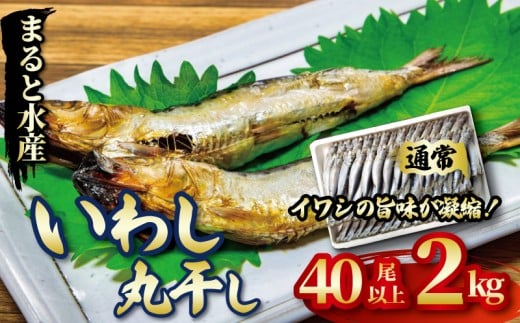 いわしの丸干し 2㎏ イワシ 干物  まると水産