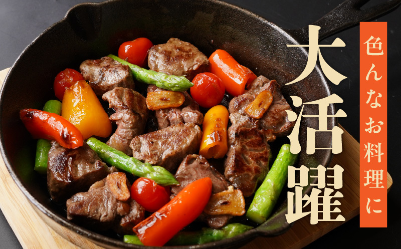 【定期便】牛ヒレ肉 切り落とし 1kg×全2回【小分け 500g×2P 氷温熟成×特製ダレ サイズ不揃い やわらか ステーキ ひと口サイズ カット済み 2026年3月＆6月発送】 mrzZ051_イメ