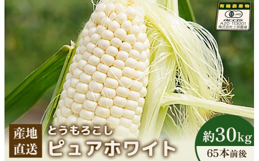 
                  【2026年度発送分】上原農場直送 有機栽培とうもろこし (ピュアホワイト)  約30kg 約65本前後 | ふるさと納税 北海道 中標津 なかしべつ とうもろこし ピュアホワイト とうきび コーン 野菜 夏野菜 夏 産地直送 新鮮 採れたて 朝採れ 甘い オーガニックお取り寄せ ワンストップ マイページ 上原農場 中標津町【66018】
                