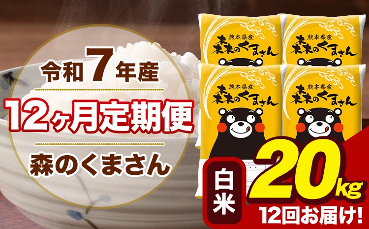 
                  【12ヶ月定期便】令和7年産 森のくまさん 白米 20kg 5kg×4袋 計12回お届け 《お申込み翌月から出荷》 お米 こめ 熊本県産 ご飯 備蓄
                