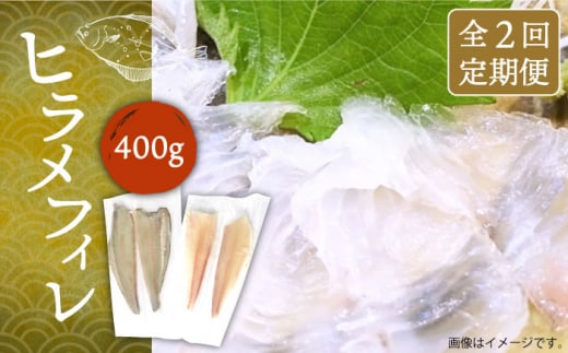 【全2回定期便】ヒラメフィレ 約400g（1尾・1kg台前後）《壱岐市》【なかはら】 [JDT069] ヒラメ ひらめ フィレ 柵 刺身 刺身ブロック 刺し身 切身 冷凍 海鮮 海鮮丼 52000 52000円 冷凍配送