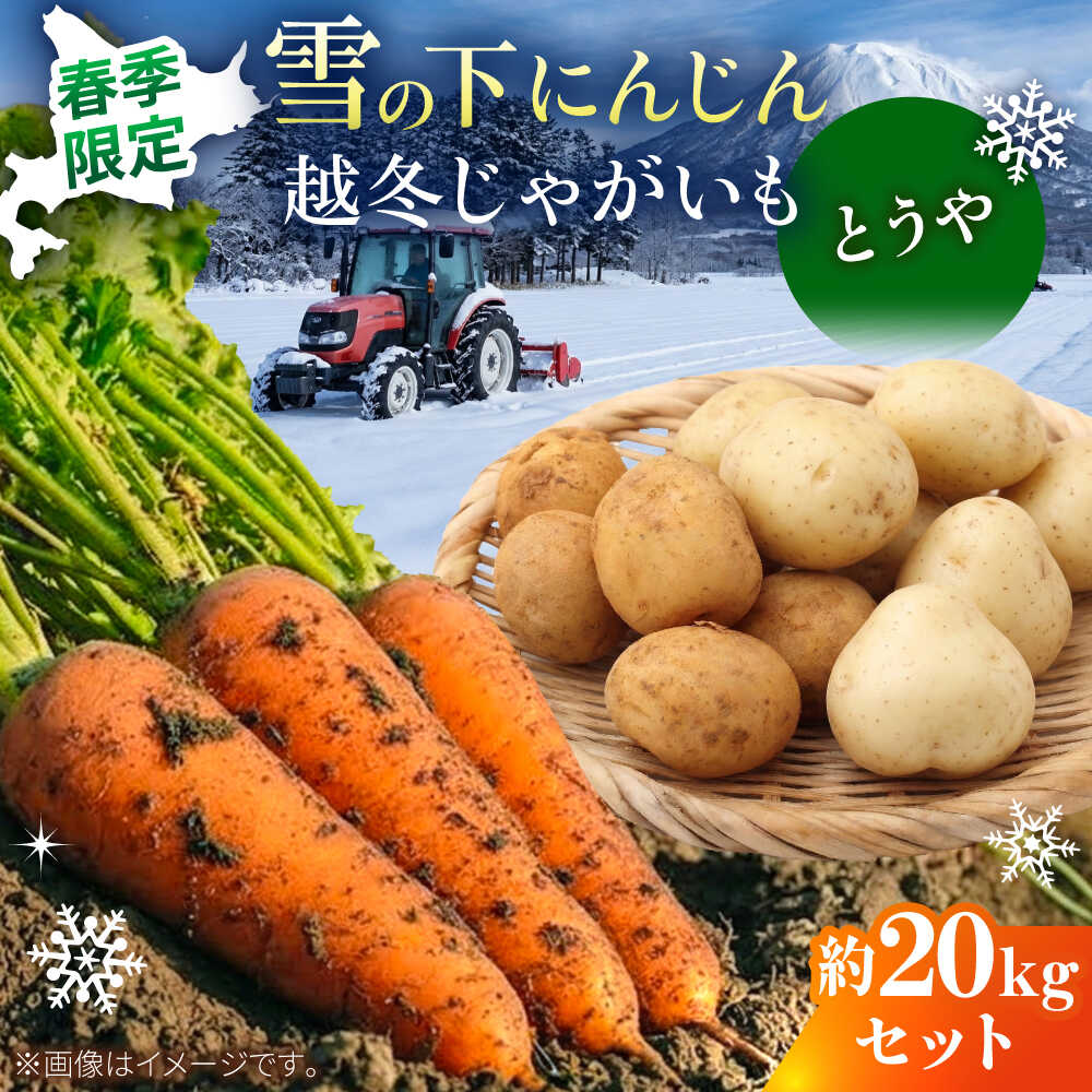 【ふるさと納税】【2027年3月下旬以降順次発送】 雪の下にんじんと越冬じゃがいもセット 計20kg （とうや）| 野菜セット 野菜 セット にんじん じゃがいも 先行予約 | 道の駅 真狩フラワーセンター[BPAM034]
