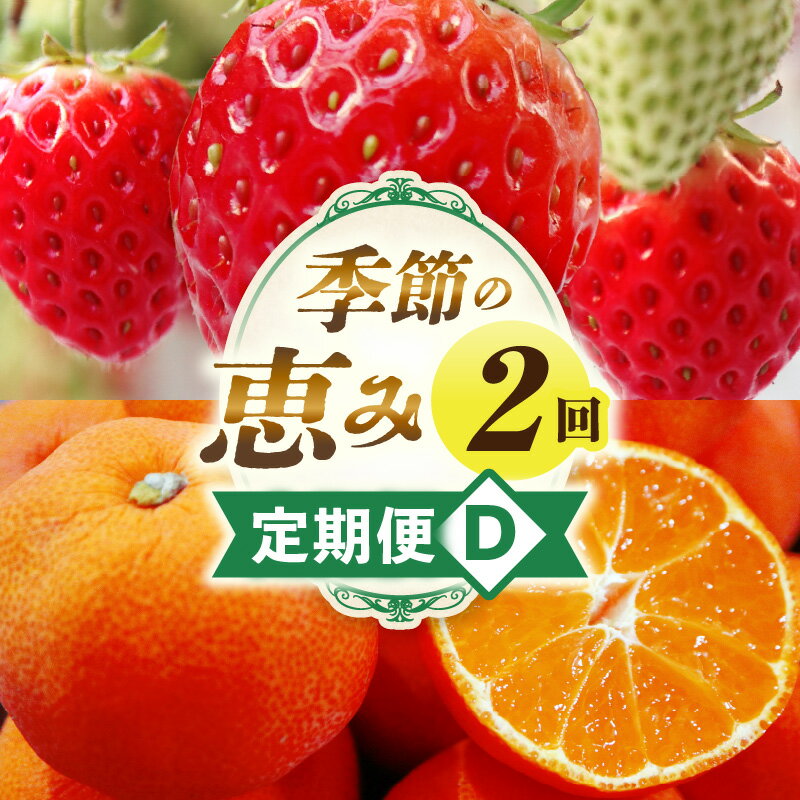 【ふるさと納税】季節の恵み2回定期便D 果物 定期便 果物定期便 フルーツ フルーツ定期便 定期 旬 旬の果物 旬のフルーツ 旬の定期便 いちご みかん 贈答 贈り物 ギフト 厳選 果実 青果物 果汁 ご褒美 デザート スイーツ 香川県 三木町 送料無料 レビューキャンペーン