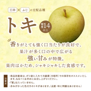 数量限定 江刺りんご ジョナゴールド・トキ 5kg（16～20玉）【10月下旬以降お届け】 離島配送不可 [AQ026]