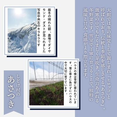 ふるさと納税 大館市 あさつき キュルッと食感、ほっこりする甘さ 約800g |  | 01