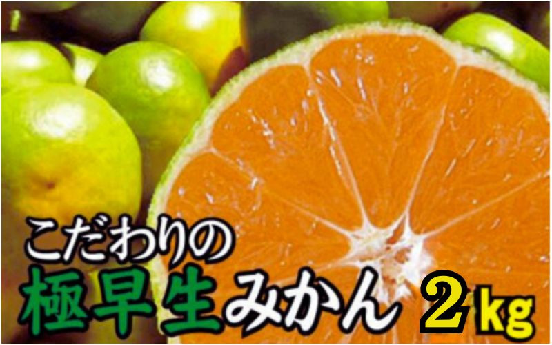 
            【2025年秋頃発送予約分】【農家直送】こだわりの極早生みかん 約2kg【数量限定】 有機質肥料100% サイズ混合 ※2025年9月下旬より順次発送予定（お届け日指定不可）【nuk170A】
          