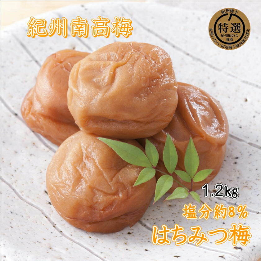 【ふるさと納税】【家庭用】紀州南高梅　はちみつ梅　1.2kg