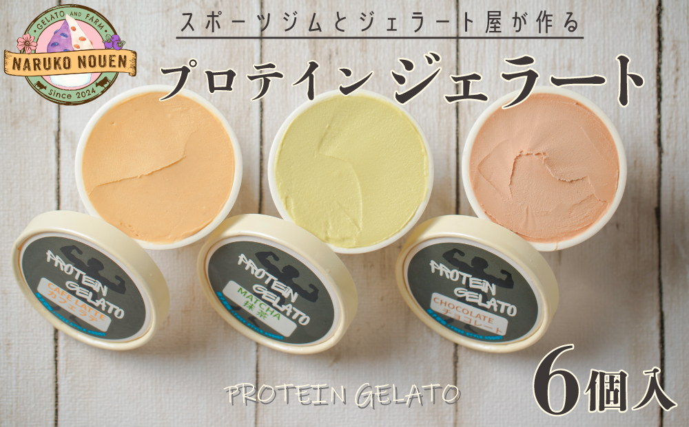 無脂肪乳で作るプロテイン入りジェラート｜nn002