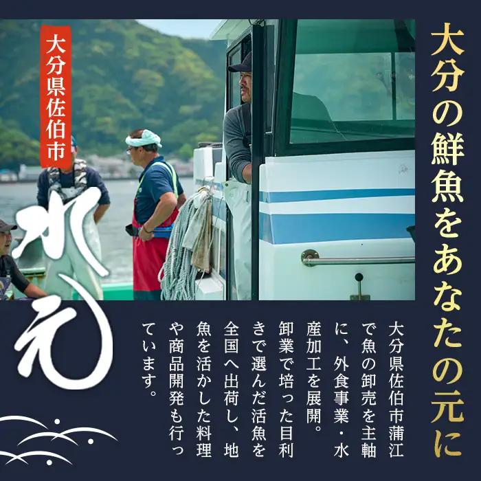 ＜先行予約受付中！2026年11月より発送予定＞ 大分県産 美人鰤 フィレ (1枚・1枚あたり1.5kg以上) 刺し身 ぶりしゃぶ 冷蔵 ブリ ぶり 半身 国産 海鮮 魚 【opbe015】【水元】