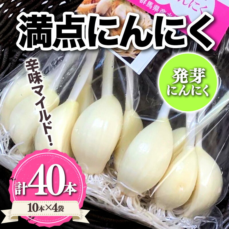 【ふるさと納税】 満点にんにく (発芽にんにく) 60〜70g(10本)×4袋 栄養 スタミナ 免疫力 風邪予防 F21K-250