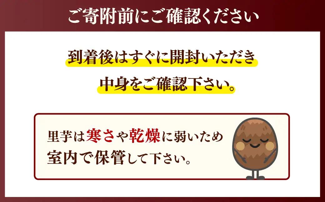 【先行予約】里芋 5キロ 訳あり 里芋