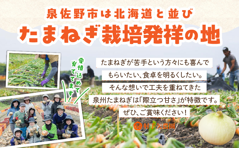 【TVで紹介！】射手矢さんちの泉州たまねぎ 5kg【玉ねぎ タマネギ 玉葱 甘い 野菜 国産 期間限定 オニオン スライス サラダ カレー シチュー バーベキュー BBQ 肉じゃが】