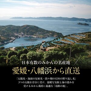 【天皇杯受賞産地】川上みかん 10kg【愛媛県八幡浜市】新口農園厳選【E70-126】【1684224】