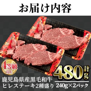 鹿児島県産黒毛和牛(4～5等級)ヒレステーキ2種盛り(合計480g・240g×2パック) 牛肉 ヒレ肉 赤身【カミチク】A-231