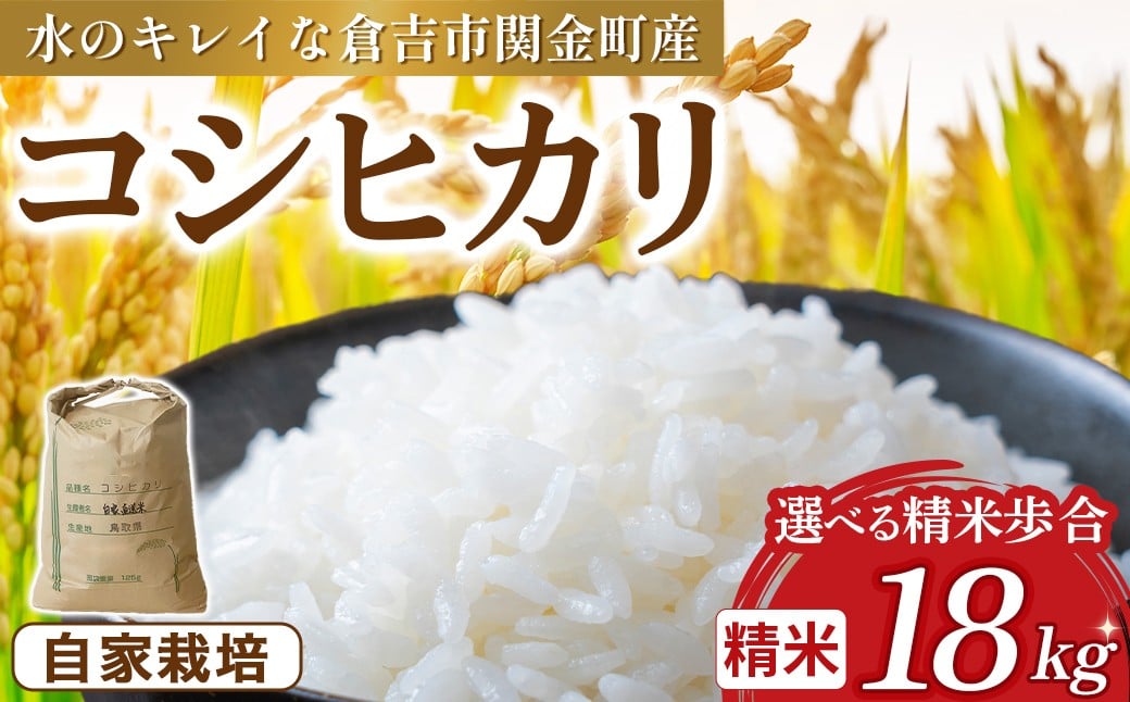 
            コシヒカリ 選べる精米歩合 18kg 令和7年産 新米 お米 米 こめ コメ こしひかり コシヒカリ ご飯 ごはん 鳥取県 倉吉市産
          