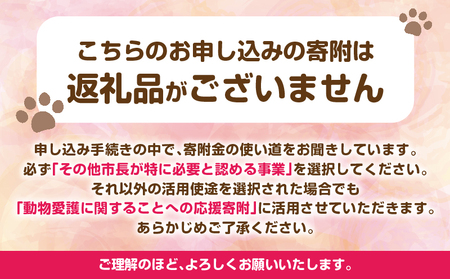 【返礼品なし】動物愛護に関することへの応援寄附(10,000円)_B001-068