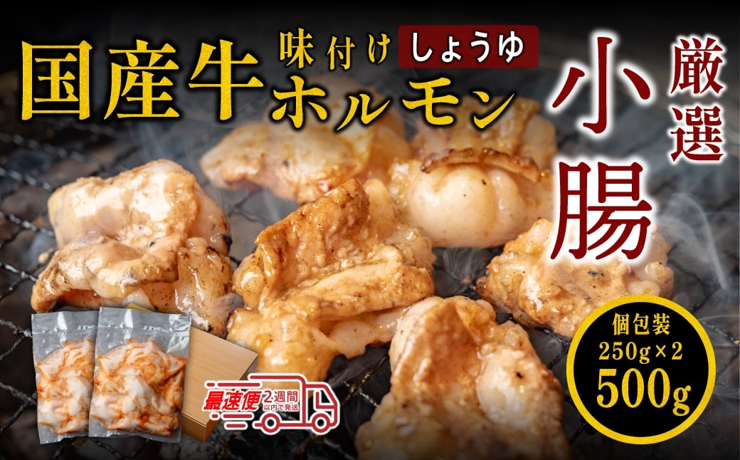 
            【12/22迄年内発送・選べる配送月】小腸 牛 ホルモン セット 特製自家製しょうゆダレ漬け 250gx2袋 500g ホルモン しょうちょう 焼肉用 肉 ダレ付き 小分け モツ

          