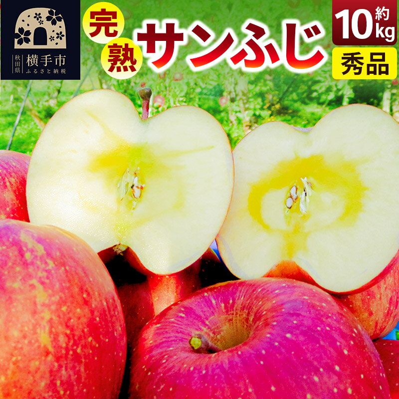 【ふるさと納税】完熟サンふじ秀品 約10kg（32〜40個入）りんご