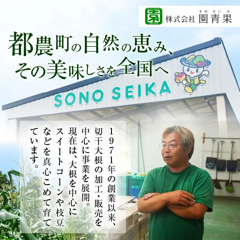 【2週間以内発送】≪宮崎県産≫切干大根(紅芯大根-そのでこ-)計10袋 野菜 加工品 国産_T003-0115