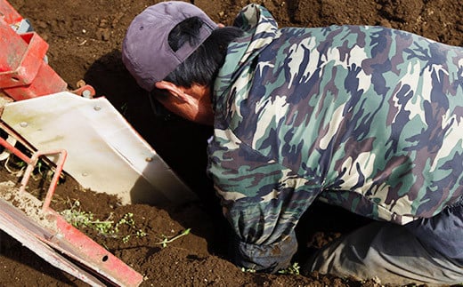 重機を使って土を掘り起こします