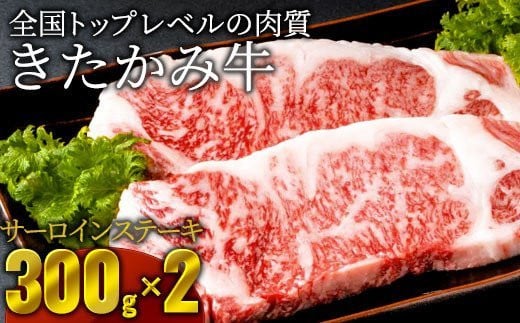 
北の上質な牛肉 【きたかみ牛】 サーロインステーキ 約300g×2セット
