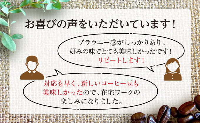 [ブレンド2種大容量各500g] 世界流通量上位５％のスペシャルティコーヒー【豆】
