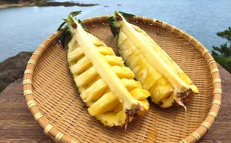 東村産パインアップルお任せセット2（5～7玉）【2026年発送】 パイン パインアップル パイナップル ボゴール ゴールドバレル ピーチパイン サンドルチェ ホワイトココ セット おまかせ 生産量日本