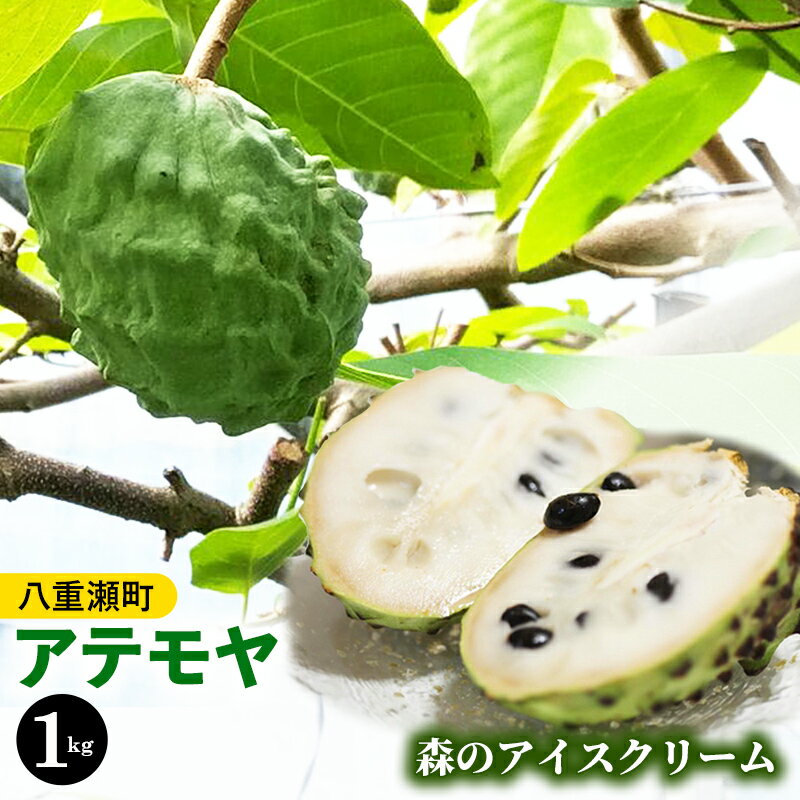 【ふるさと納税】【先行受付】森のアイスクリーム アテモヤ 1kg (沖縄県八重瀬町産) - 先行予約 沖縄 産地直送 南国フルーツ 旬の味覚 旬のフルーツ 沖縄県 八重瀬町