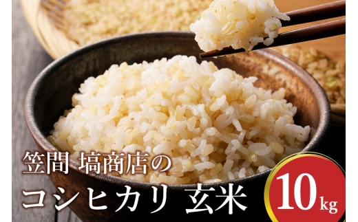 コシヒカリ 玄米 10kg 笠間 塙商店 米 令和7年度産 ブランド米 お米 げんまい 国産 おにぎり 弁当 R7年産 ごはん おいしい 旨い ふっくら お米 茨城県 笠間市 いばらき