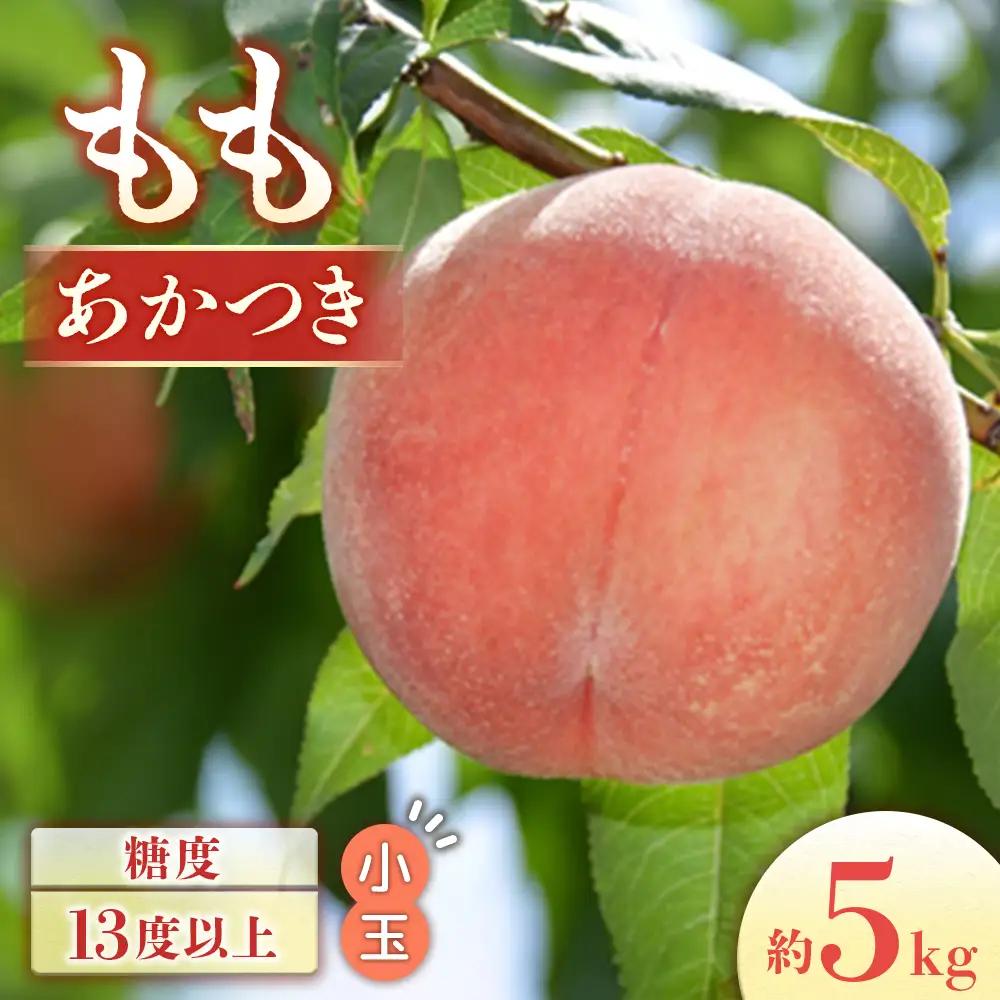 もも あかつき 約5㎏ 桃 小玉