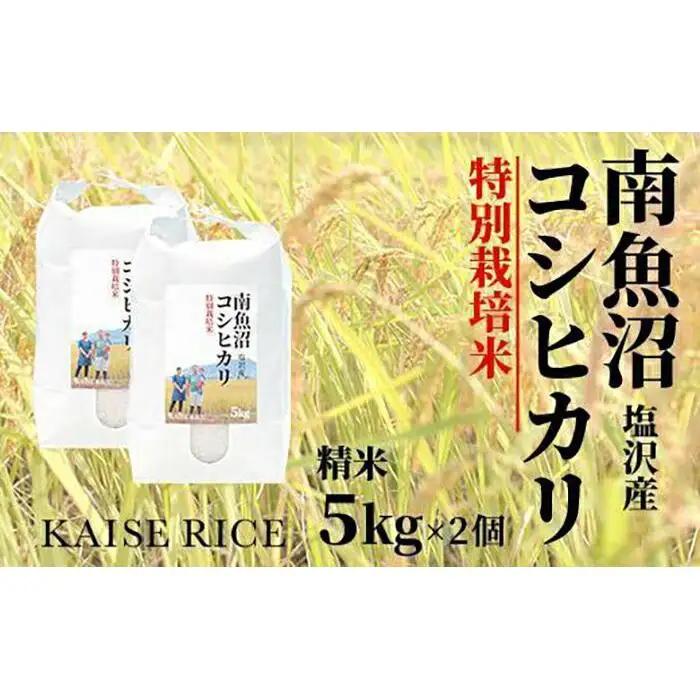 【令和7年】南魚沼産塩沢コシヒカリ【従来品種】（特別栽培米８割減農薬）精米５ｋｇ×２個｜コシヒカリ