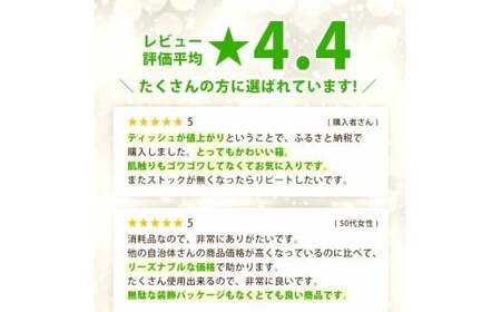 【ふるさと納税】 ティッシュ ティッシュペーパー1箱150組/300枚 5箱×4パック 合計20箱 [ 動物柄 アニマル柄 常備品 生活用品 まとめ買い 蛍光染料不使用 日用品 日用雑貨 日用消耗品 