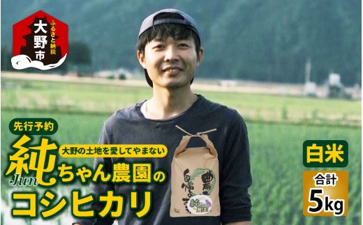 【先行予約】【令和8年産 新米】純ちゃん農園のコシヒカリ白米5kg【2027年1月より順次発送】【農家直送】
